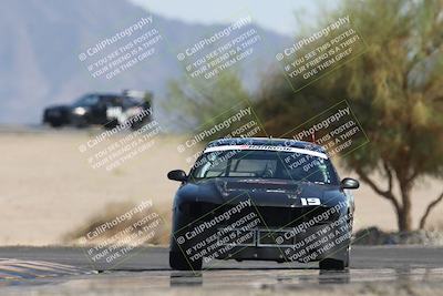 media/Oct-12-2025-Lucky Dog Racing (Sun) [[8adb5568ea]]/3-Third    Stint/4-Turn 4 (Tree of Life)/